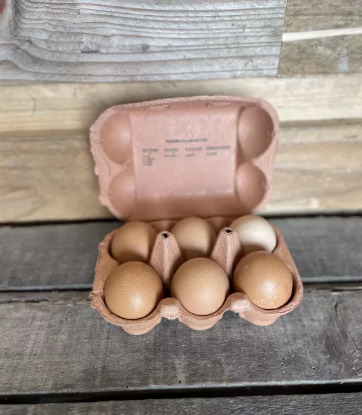 6 œufs de plein air