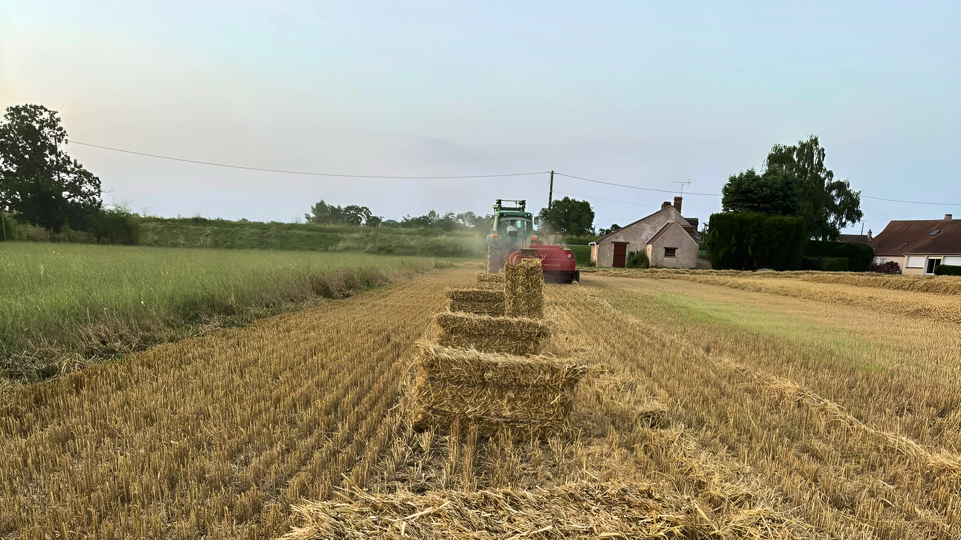 La Ferme De La Mestiniere Produits Locaux A Chateauneuf Sur Loire La Nature Locale Dans Toute Sa Generosite